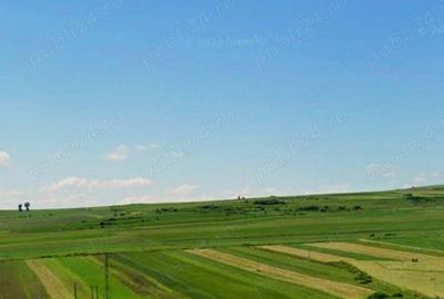 Teren de 5300 mp, în Tureni - 3