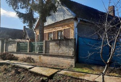 Casă cu 5 camere în Făncica - 5