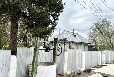 Casa 3 camere+anexe, teren 2400 mp, Damienesti Bacau - 6