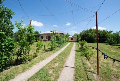 Casă individuală cu 5 camere cu Teren 2000 Mp în Gălbinași - 15