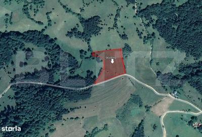 Spațiu comercial, în Paltin - 1