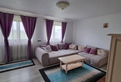 Casa de vanzare spre Vetis, drum principal - 6