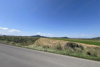 Teren de 5000 mp, în Hărman - 4