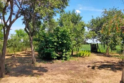 Casă cu 2 camere în Voivozi (Șimian) - 1