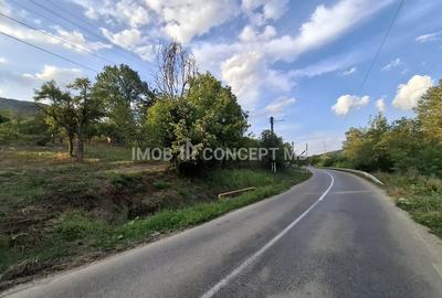 Teren spectaculos cu padure, livada si priveliste panoramica in Soimari PH - 4