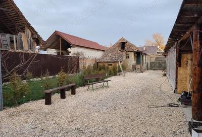 Casă cu Teren 3000 Mp în Grânari - 4