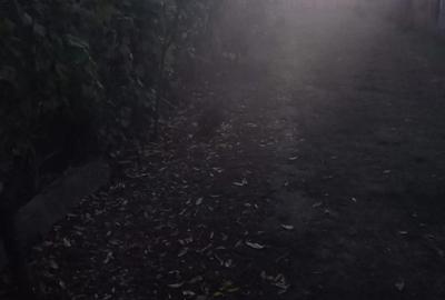 Casa de vanzare in satul Coste?ti Deal, comuna Produle?ti, jude?ul Dambovi?a - 8