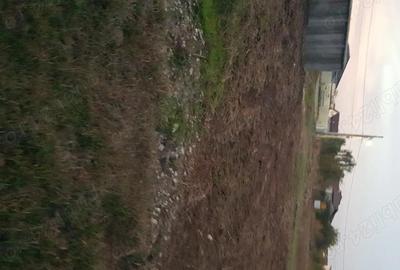 Spațiu comercial, în Domnești - 1