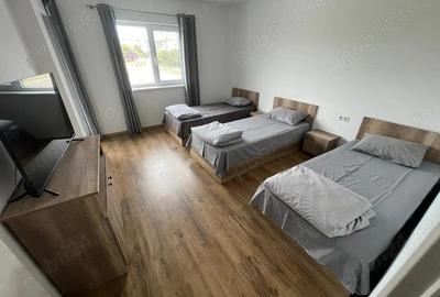 Apartament cu 1 camera de inchiriat - 1