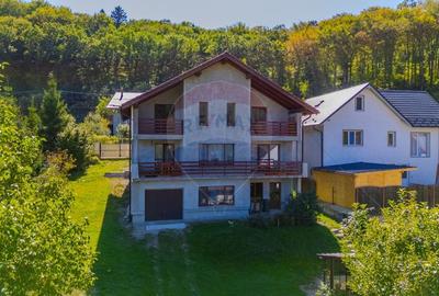 Casă individuală cu 8 camere cu Garaj în Colonia 1 Mai - 20