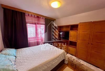 Apartament cu 2 camere decomandat, mobilat în Lipovei - 9