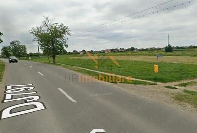 TEREN INTRAVILAN | 1400 MP | GIRISU DE CRIS - 2