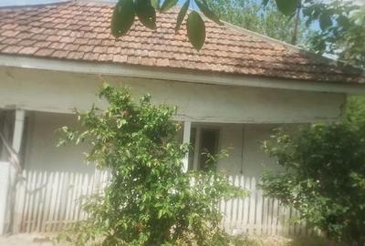 Casă cu Teren 200 Mp în Brâncoveanca - 4