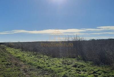 Vama Veche | Teren intravilan pentru investiții imobiliare! - 2