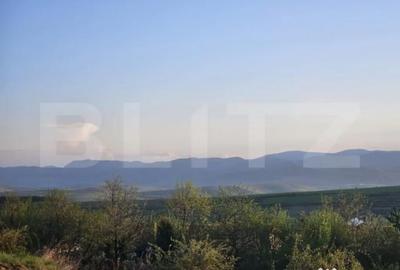 Teren de 1150 mp, în Sălicea - 3