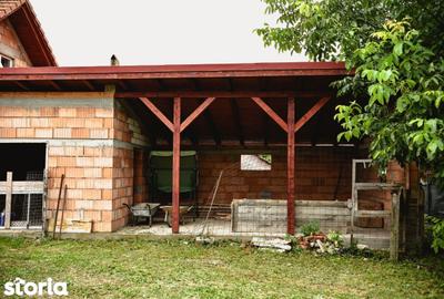 Casă cu Teren 3596 Mp în Pișchia - 5