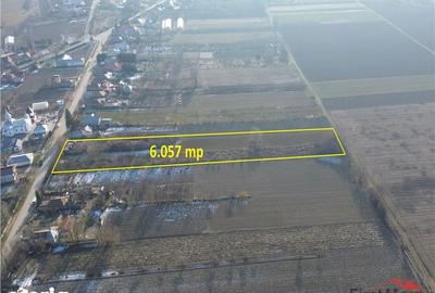 Teren de 6057 mp, în Vânători - 8