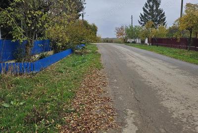 Teren de 18469 mp, în Butimanu - 5