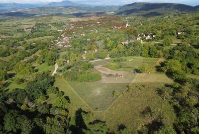 Teren Construcții de 16500 mp, în Măgureni - 7