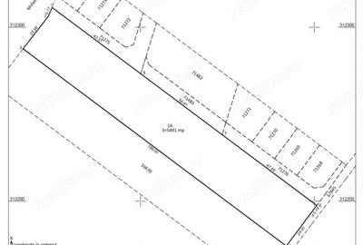 Teren Extravilan In Rate Primaverii Com. Berceni | 5491mp | #EG42 - 2