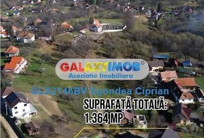 Spațiu comercial, în Sohodol - 3
