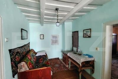 Casa renovabila 2,2 arii taren in Raciu - 4