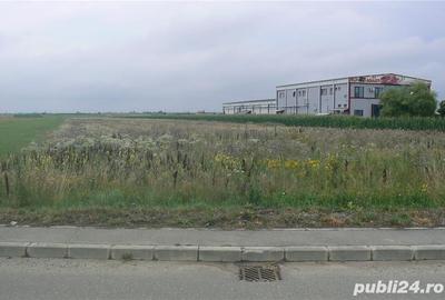 Teren de 15000 mp, în Oarja - 1