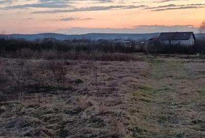 Teren de 10000 mp, în Merișor - 3