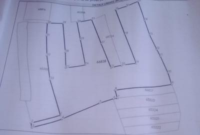 Teren agricol extravilan de 27500 mp, în Geoagiu-Băi - 4