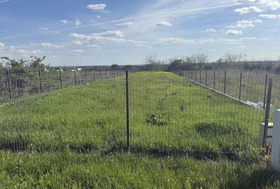 Teren de 1000 mp, în Chițorani - 2
