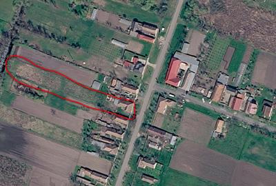 Casă individuală cu 3 camere cu Teren 1906 Mp în Gelu - 10
