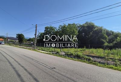 Teren Construcții intravilan de 3175 mp, în Brădiceni - 5