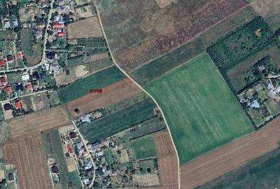 Teren de 1300 mp, în Ciurea