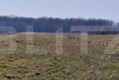 Teren de 10000 mp, în Jibert - 2