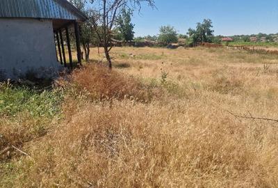 Casă cu Teren 3000 Mp în Dăeni - 4