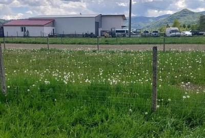 Teren de 2560 mp, în Vama Buzăului