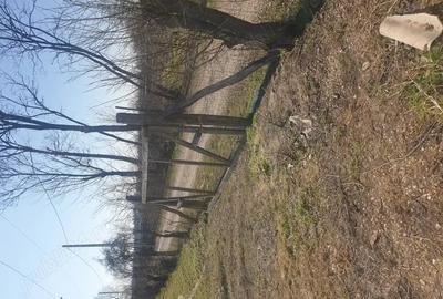 Teren de 700 mp, în Bolovani - 4