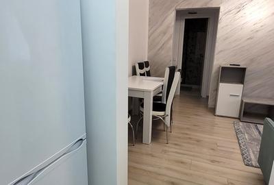 Apartament cu 2 camere semidecomandat, mobilat în Viziru 1 - 3