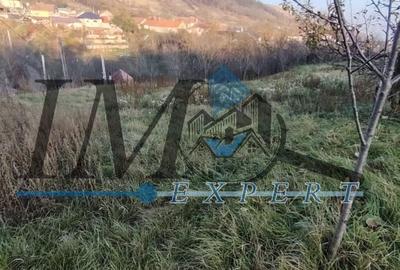 Teren Construcții intravilan de 1785 mp, în Pâclișa - 3