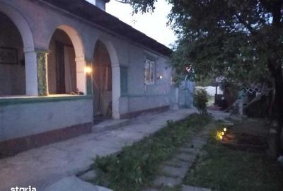 Casă cu 4 camere cu Teren 2008 Mp în Bordei Verde - 1