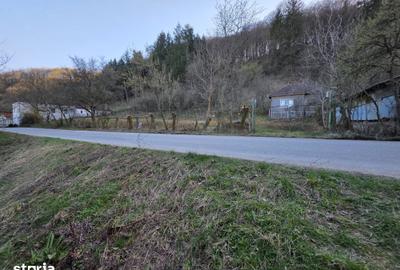 Casă cu 4 camere cu Teren 1887 Mp în Burjuc