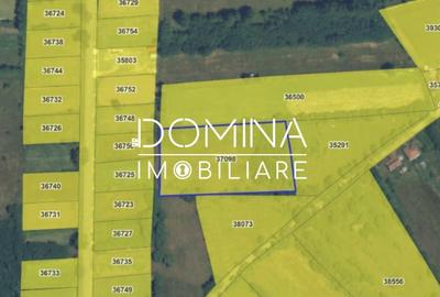 Teren Construcții intravilan de 6843 mp, în Polovragi - 9
