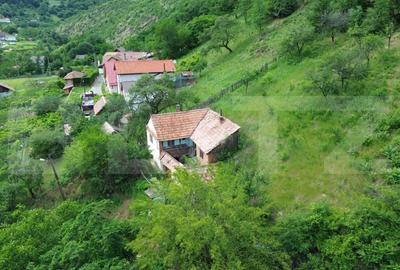 Casă cu Teren 1343 Mp în Căpâlna - 4