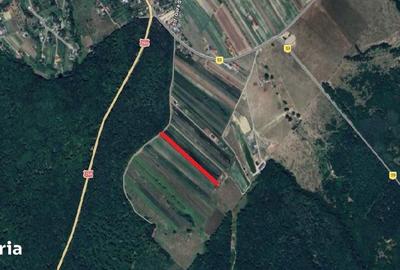 Teren de 9700 mp, în Adâncata