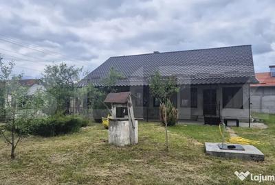 Casă cu 3 camere cu Teren 2918 Mp în Vetiș - 5