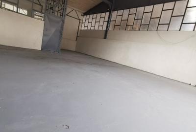 Spațiu industrial, 100 mp în Orzoaia de Jos