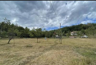 Teren de 5200 mp, în Central
