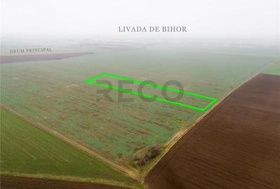 Teren intravilan de 5800 mp, în Livada de Bihor - 7