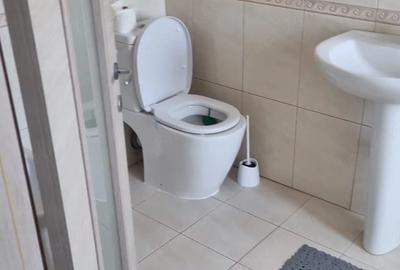 Apartament cu 3 camere decomandat în Central - 5