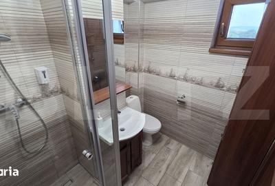 Apartament cu 3 camere în Cetate - 4